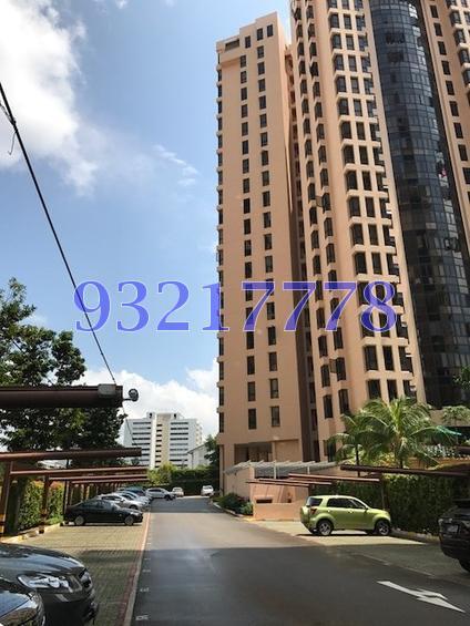 Seasons View (D20), Condominium #154531512